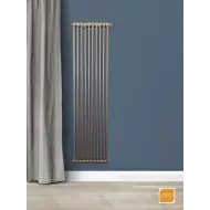 Радиатор Arbonia 2180/10 секций боковое подключение цвет антрацит металлик AME