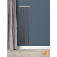 Радиатор Arbonia 2180/10 секций боковое подключение цвет антрацит металлик AME